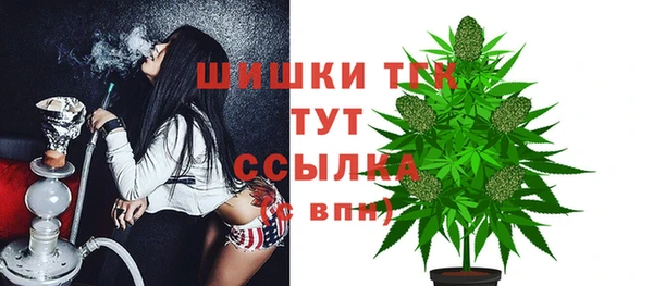 амф Горно-Алтайск