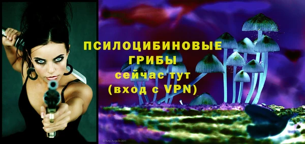 гашиш Горнозаводск