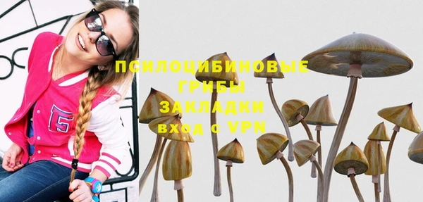 ALPHA-PVP Горняк
