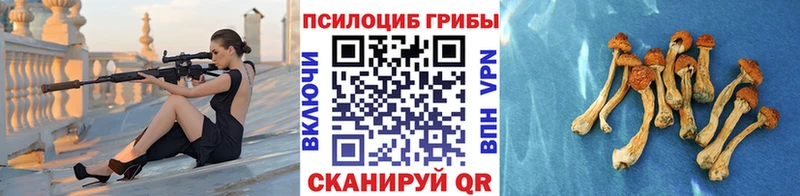 купить закладку  Нея  Галлюциногенные грибы Cubensis 