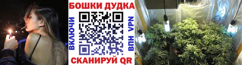Бошки Шишки Bruce Banner Нея